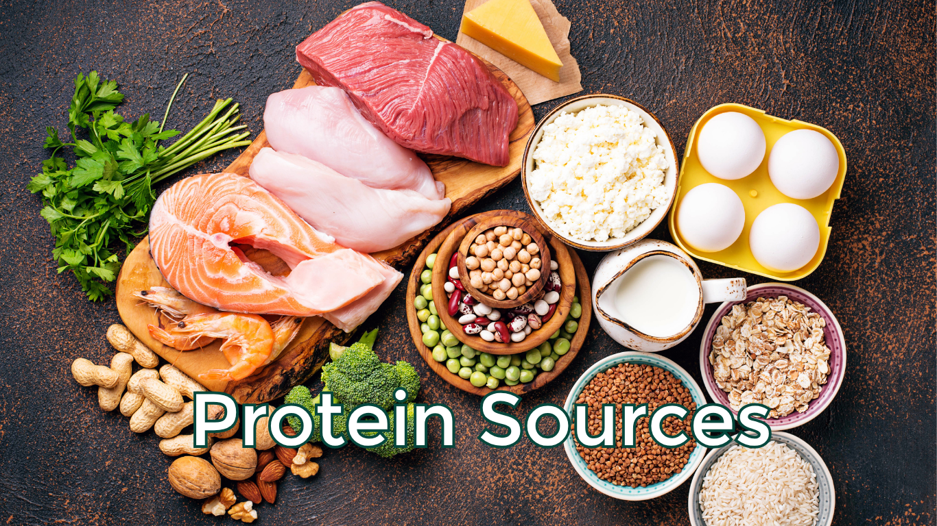 Protein intake sources including meat fish eggs dairy and plant-based options